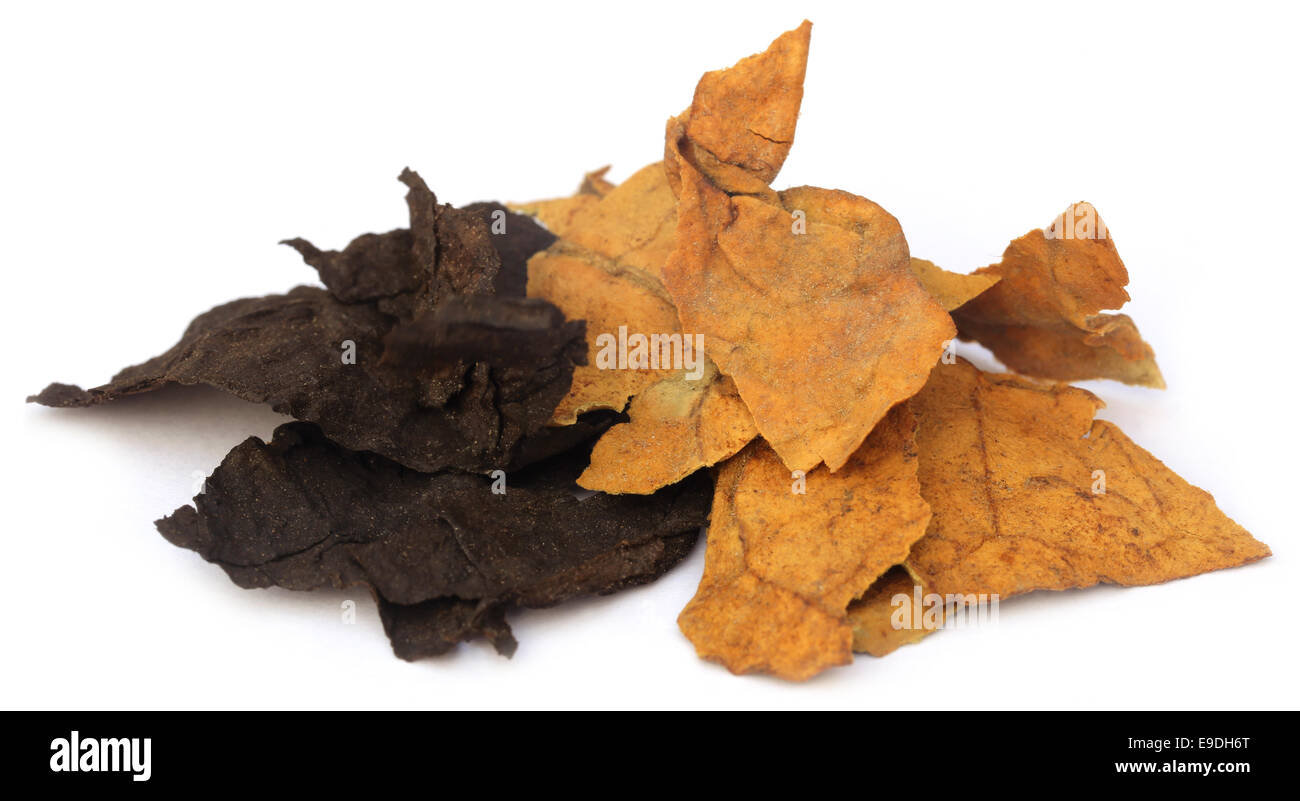 Secchi di foglie di tabacco su sfondo bianco Foto Stock