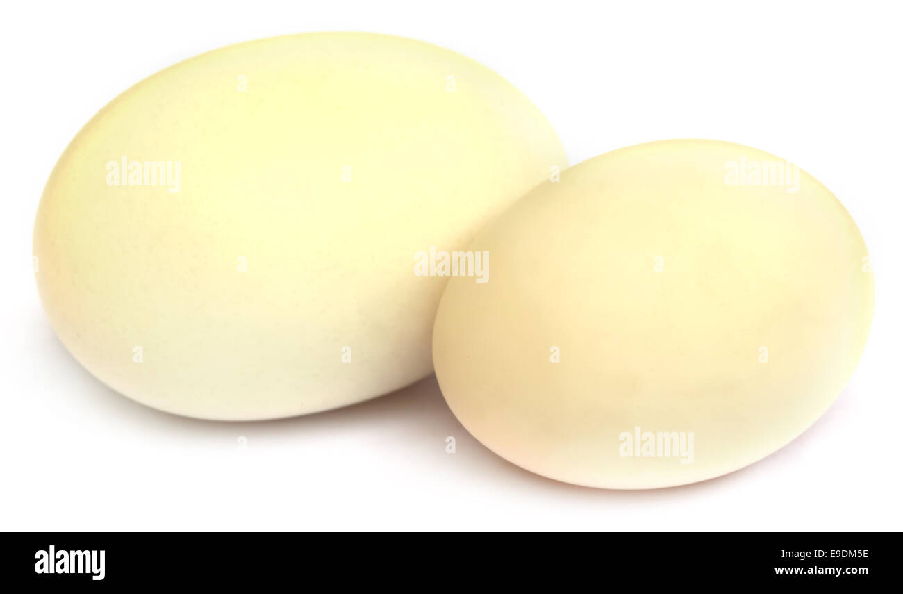 Uovo bianco su sfondo bianco Foto Stock