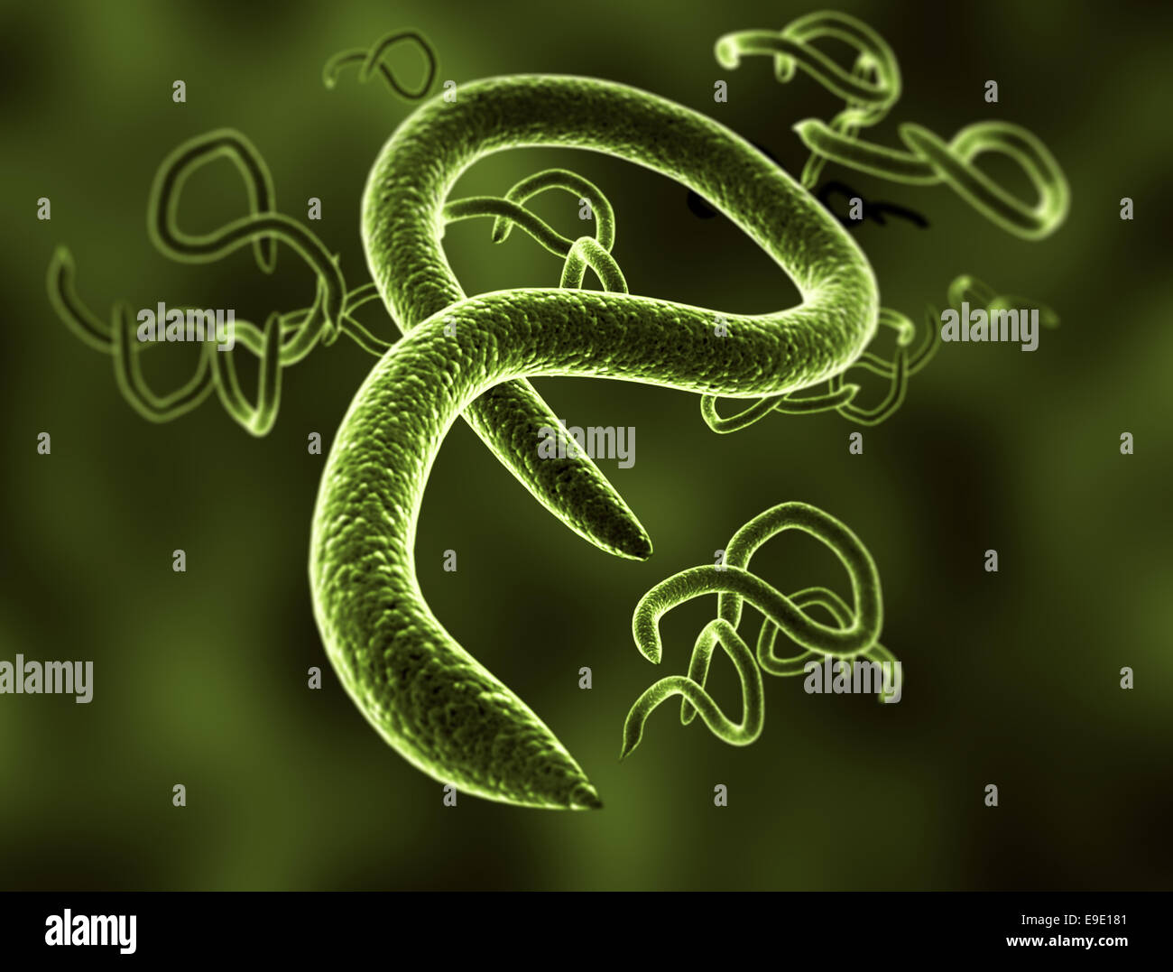 Alta dettagliate in 3D render del virus Ebola cellule Foto Stock