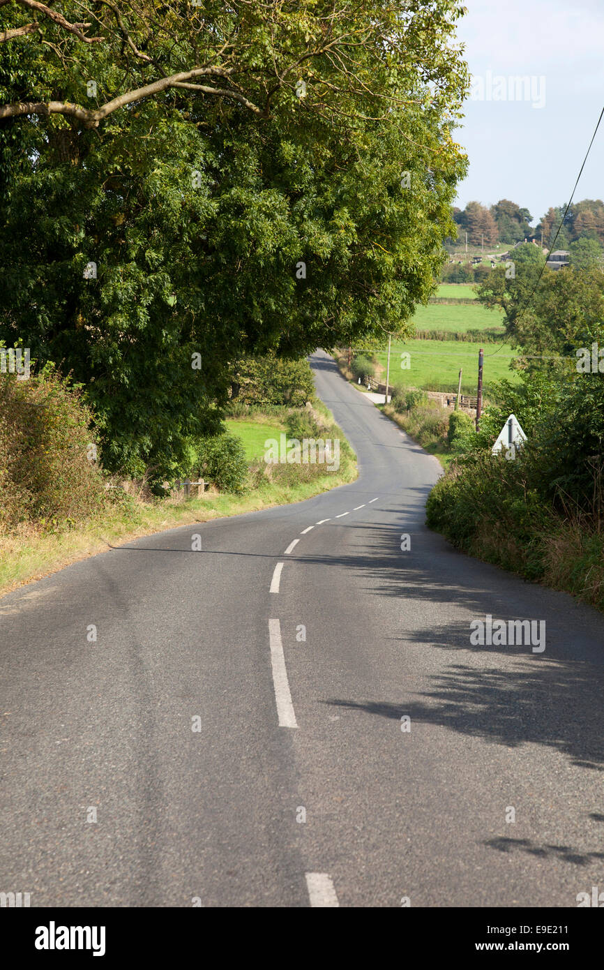 Una stretta strada statale nella campagna inglese. Foto Stock