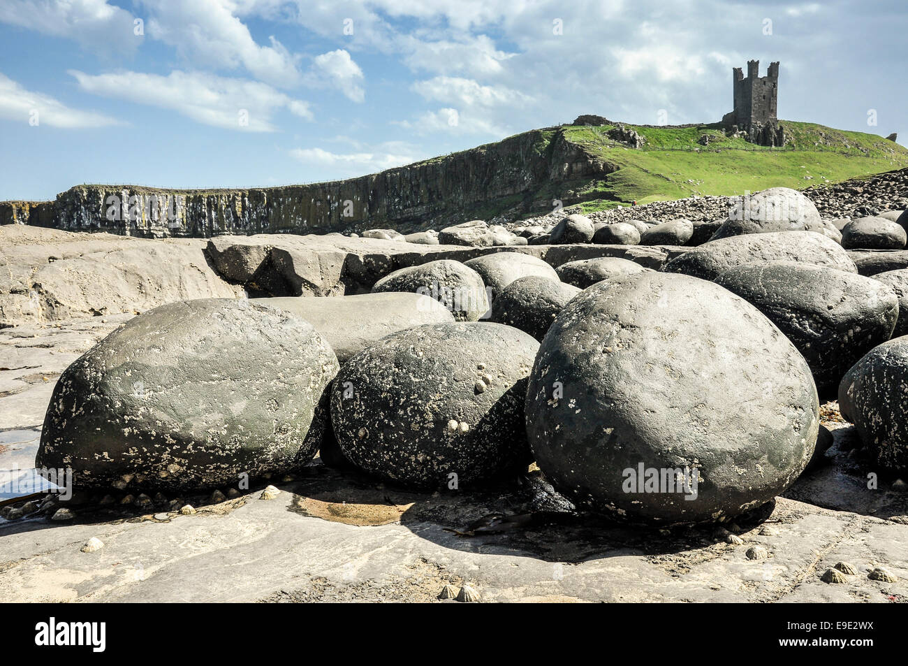 Massi rotondi sotto il castello di Dunstanburgh in Northumberland sulla costa nord est dell'Inghilterra. Foto Stock