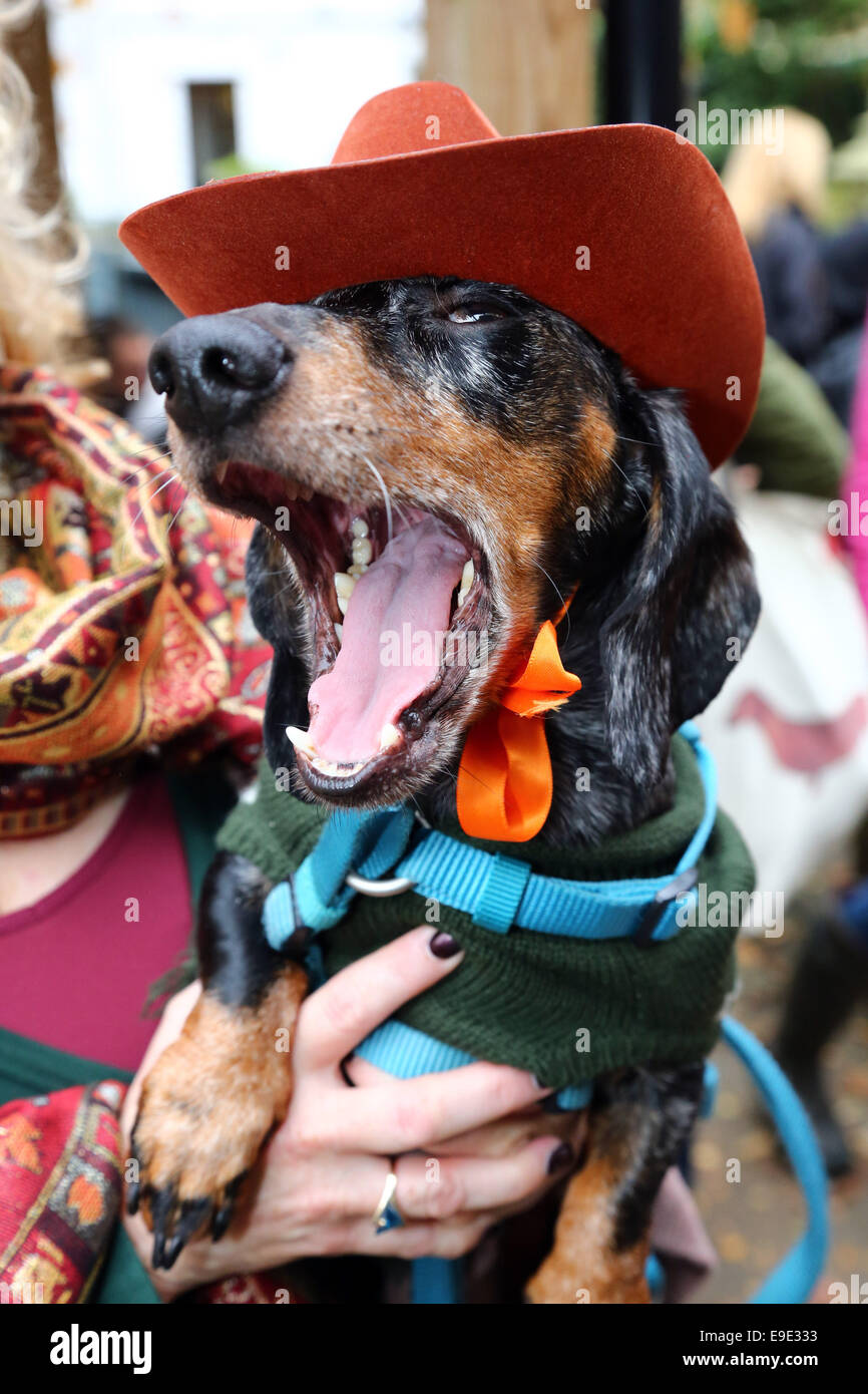 Costume Gonfiabile Da Bassotto Per Bambini – Tuta A Forma Di Cane, Con Ventilatore, Per Feste, Cosplay E Carnevali