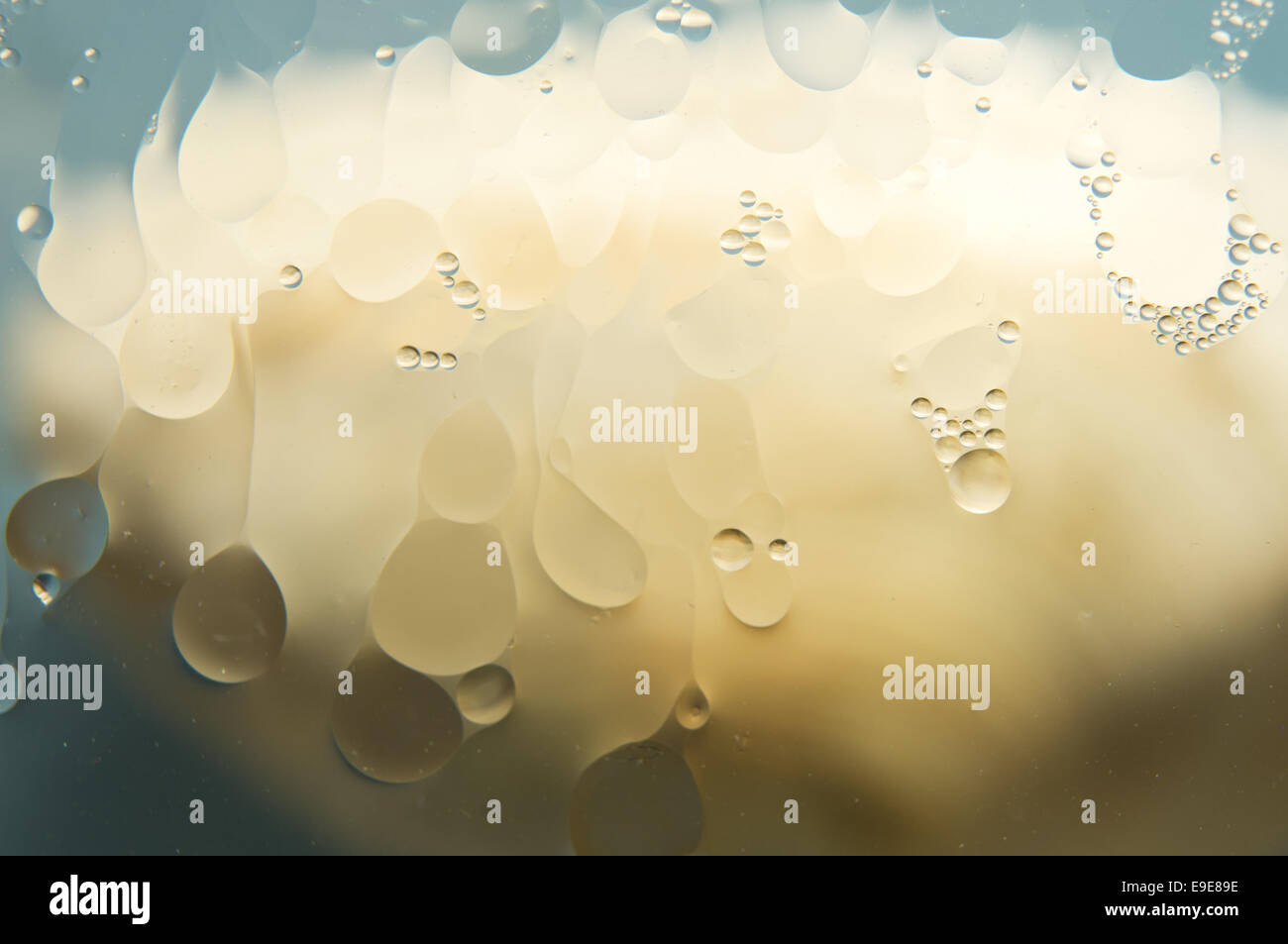 Acqua e olio Foto Stock