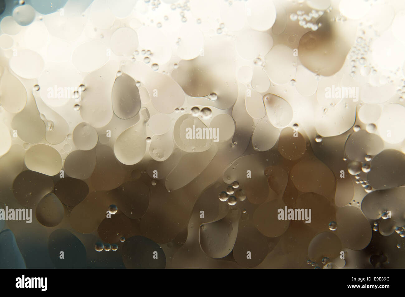 Acqua e olio Foto Stock