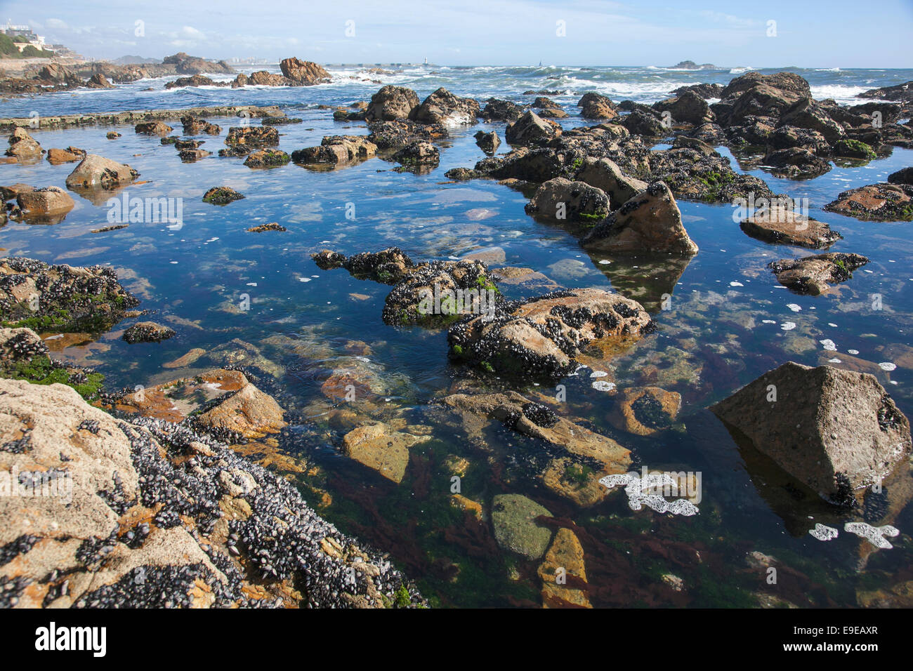 Vista Oceano Atlantico da una spiaggia in Foz area, Porto, Portogallo Foto Stock