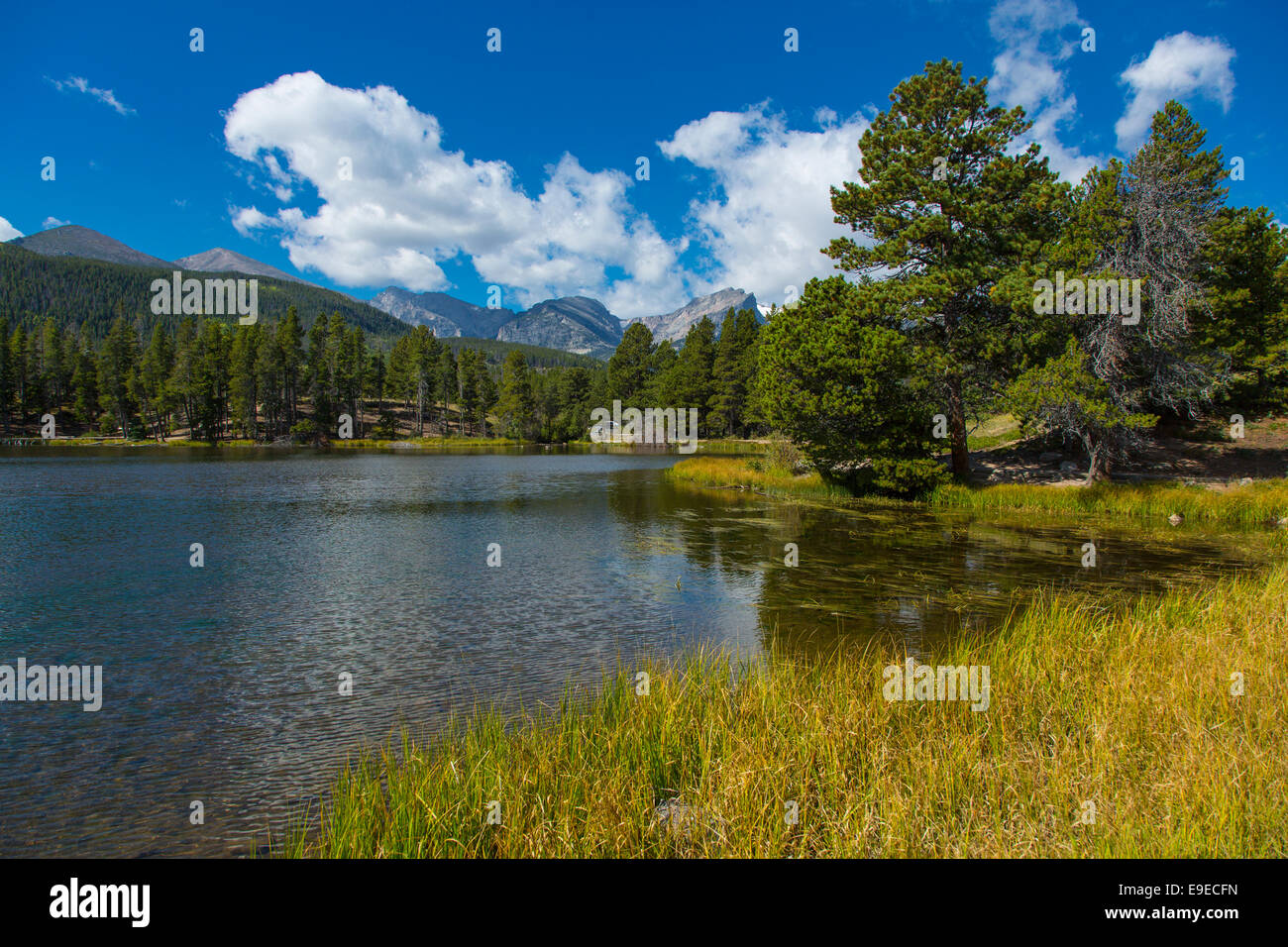 Spraque lago nel Parco Nazionale delle Montagne Rocciose in Colorado Foto Stock