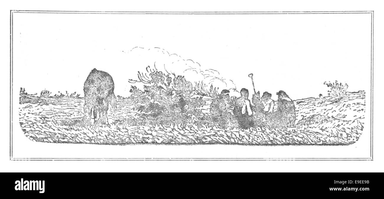 Pagina 243 dell'opera di Moreno del 1879 raffigurante un campo sulla Meseta, probabilmente in un contesto sudamericano. L'illustrazione mette in evidenza l'ambiente e lo stile di vita di coloro che vivono nella regione. Foto Stock