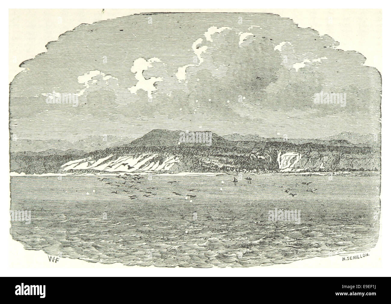 Un'illustrazione del 1878 da *Mulhall*, pagina 067, che mostra una vista vicino a Valdivia, in Cile. L'immagine cattura il paesaggio e i dintorni naturali della regione alla fine del XIX secolo. Foto Stock