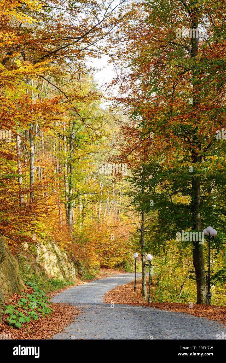 autunno nel parco Foto Stock