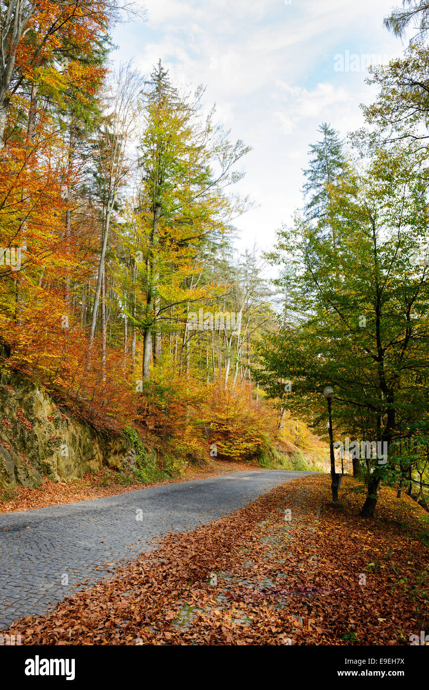 autunno nel parco Foto Stock