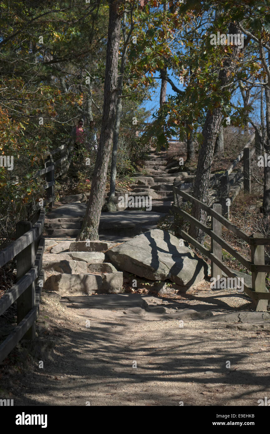 Gradini in pietra sul pathyway roccioso al si affacciano al pilota di montagna. Parco statale, NC Foto Stock