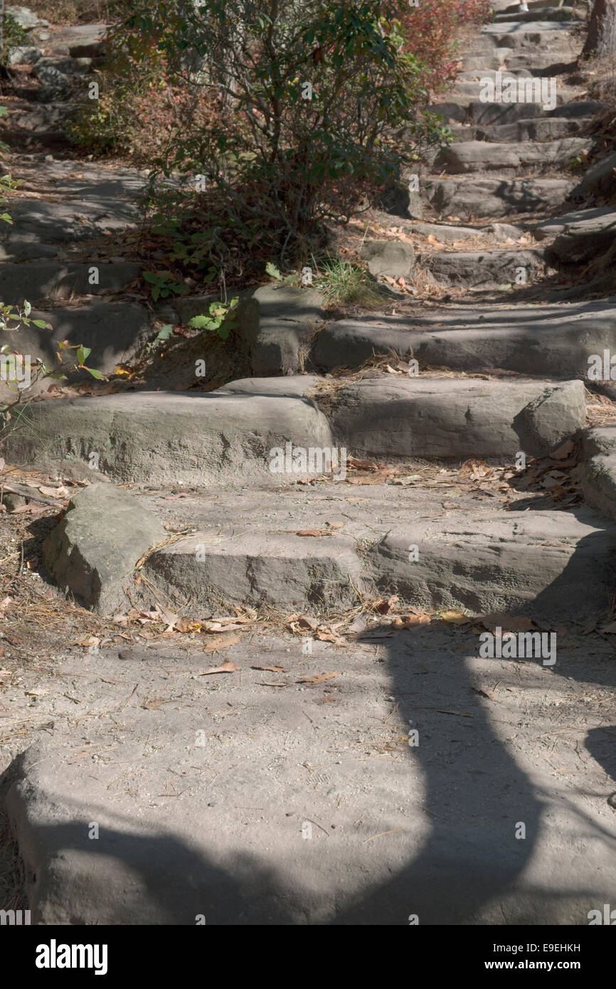 Gradini in pietra sul percorso roccioso al si affacciano al pilota di montagna. Parco statale, NC Foto Stock