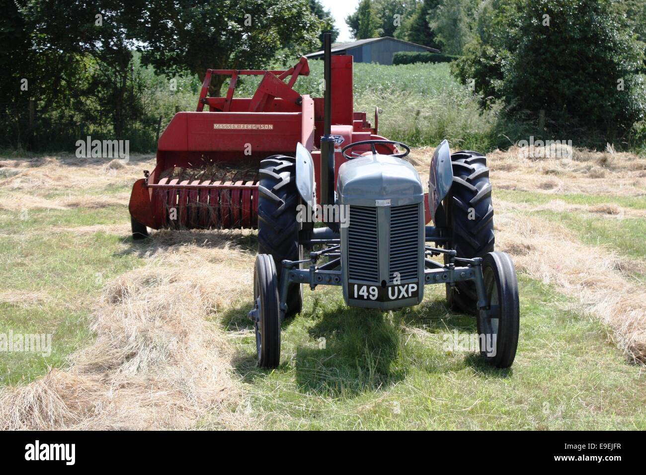 Vecchio vintage little grey fergie ferguson attrezzature agricole Foto Stock