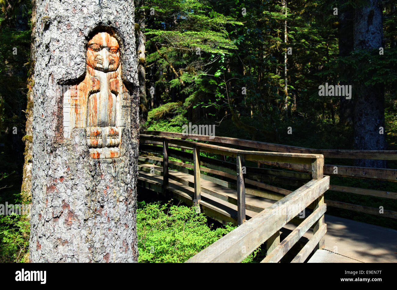 Tlingit segnavia scolpiti nella struttura ad albero, Foresta Loop Trail, Bartlett Cove, Parco Nazionale di Glacier Bay, Alaska, STATI UNITI D'AMERICA Foto Stock