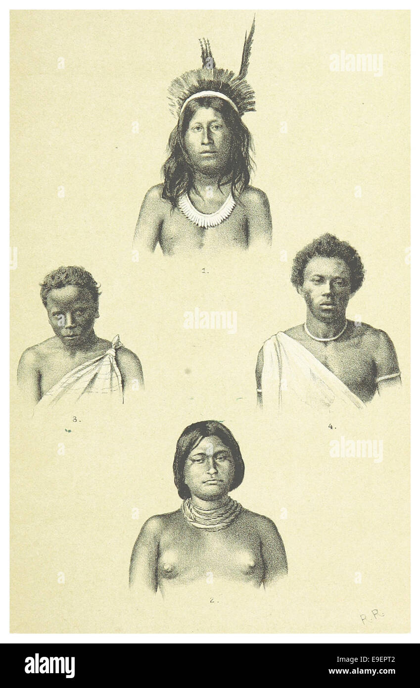 Questa immagine del Suriname presenta ritratti di popoli indigeni: (1) una persona caraibica, (2) una donna Arrowacken e (3-4) individui Buschneger. Queste raffigurazioni riflettono le diverse culture e popoli del Suriname durante il XIX secolo. Foto Stock