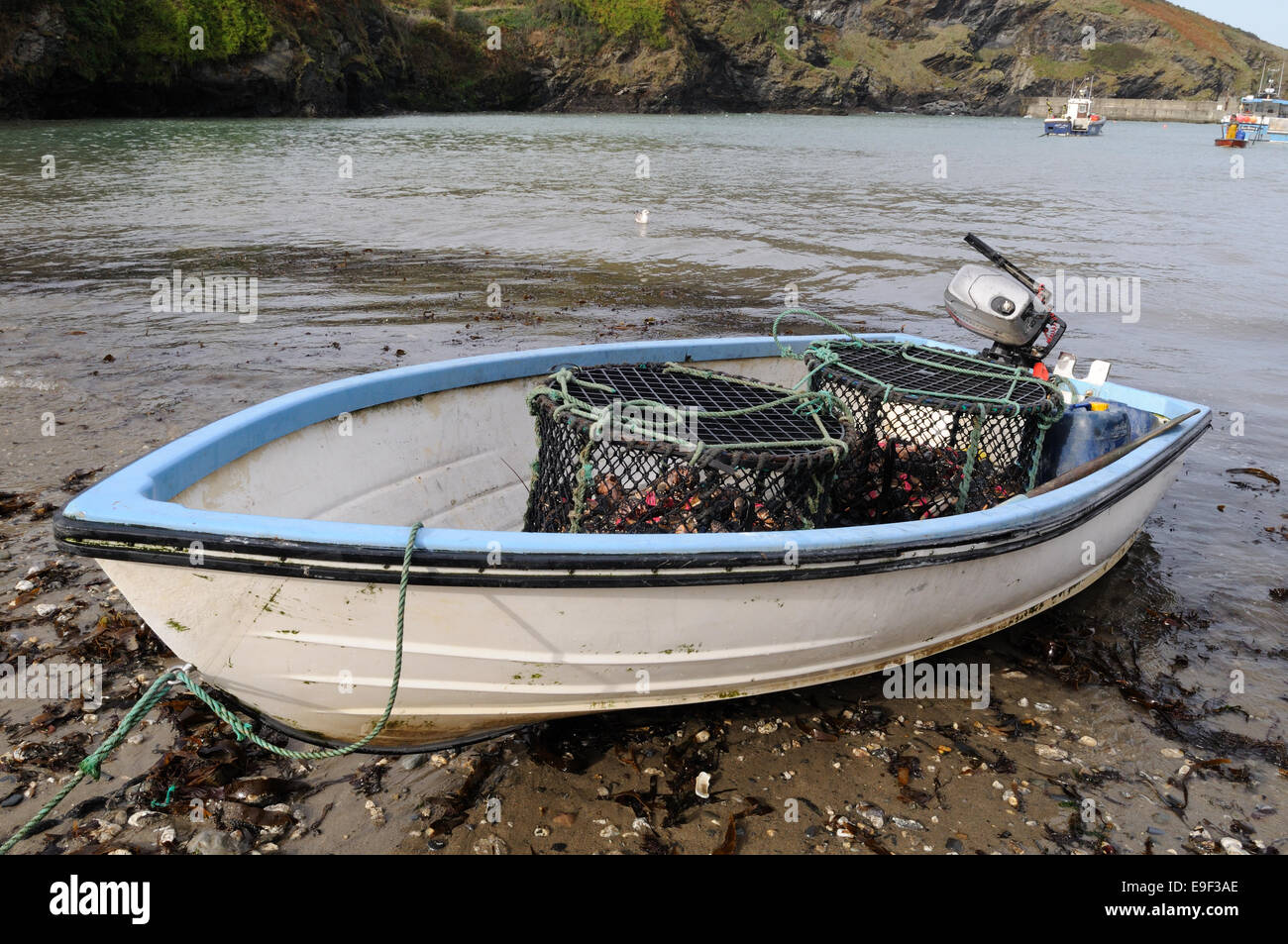 Aragoste e astice pentole in una piccola barca Port Isaac harbour Cornwall Inghilterra UK GB Foto Stock