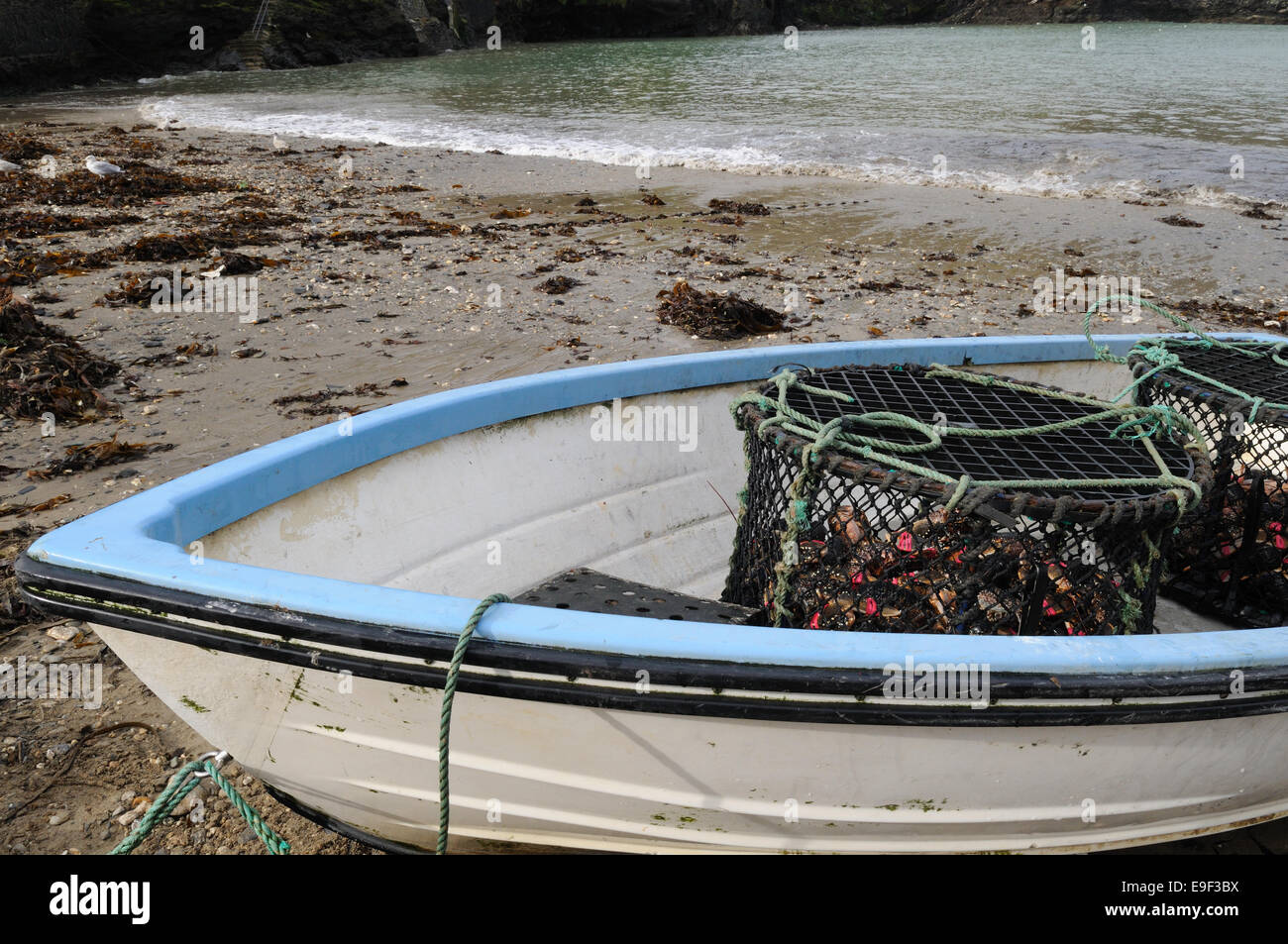 Cornish obsters e lobster pot in una piccola barca Port Isaac harbour Cornwall Inghilterra UK GB Foto Stock