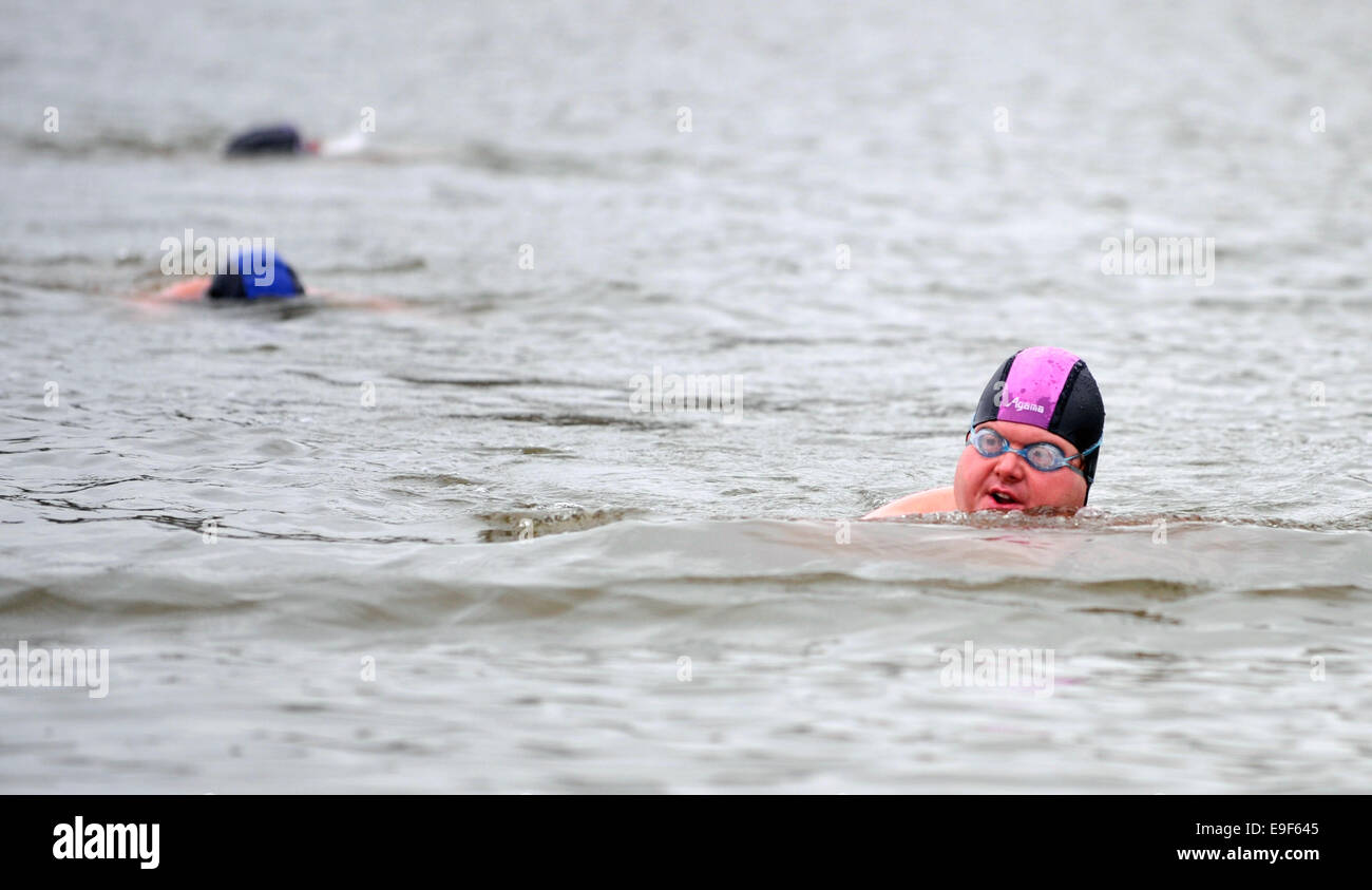 Circa 140 inverno nuotatori incontro presso il laghetto Pavovsky al quinto annuale piscina invernale. La temperatura dell'aria era intorno ai 5 gradi Celsius, acqua è stata inferiore a nove sopra lo zero. (CTK foto/Lubos Pavlicek) Foto Stock