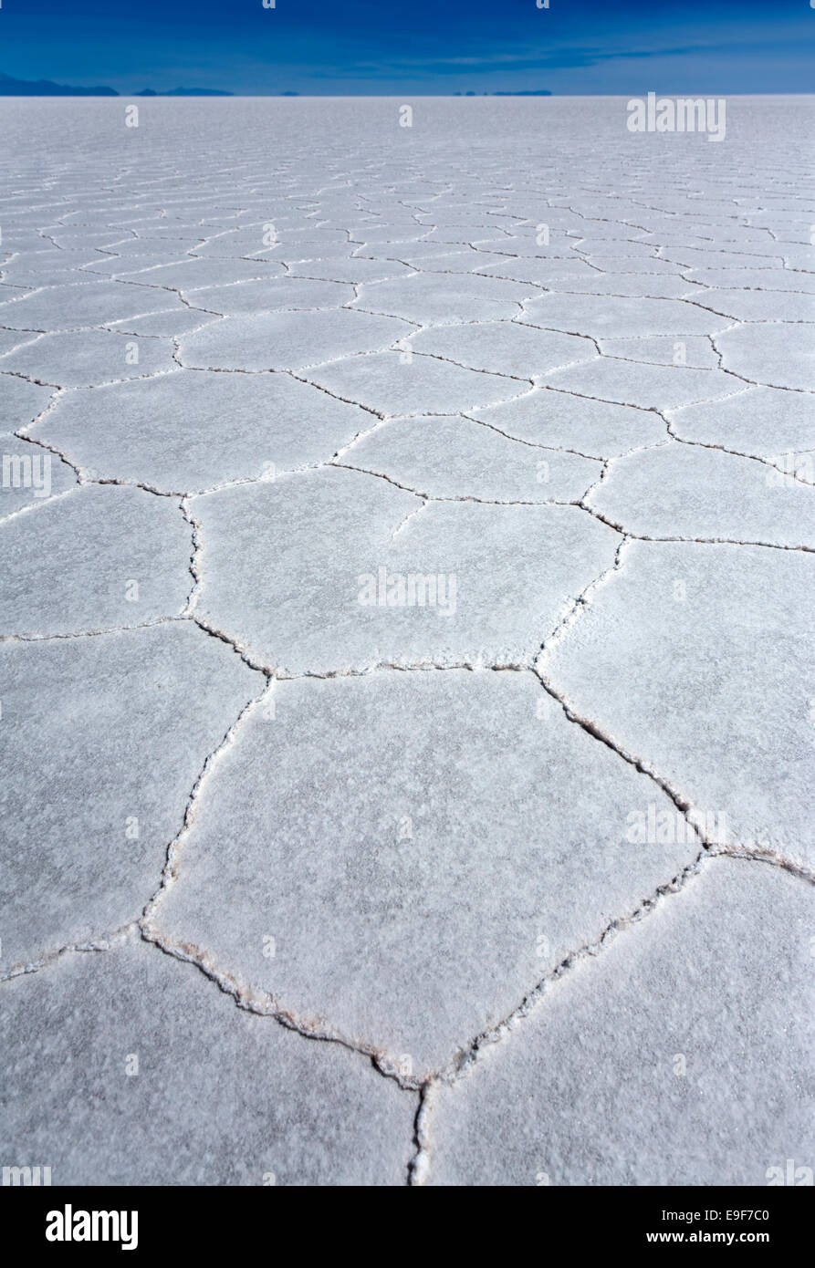 Sale esagoni. Salar de Uyuni. Bolivia Foto Stock