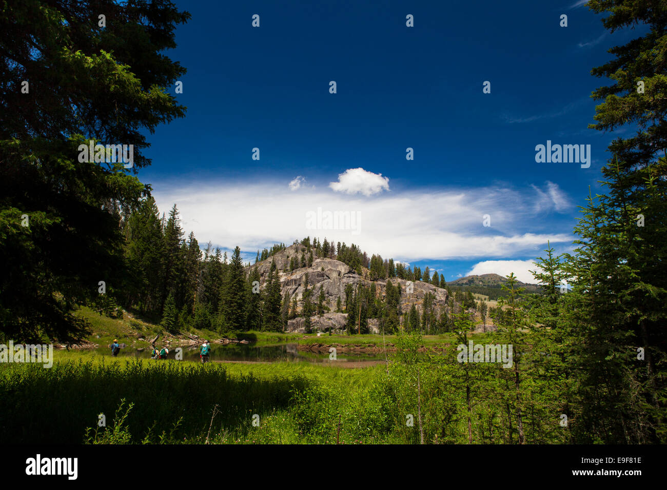 Gli escursionisti a Slough Creek Trail, il Parco Nazionale di Yellowstone, Wyoming. Il diritto d'autore Dave Walsh 2014. Foto Stock