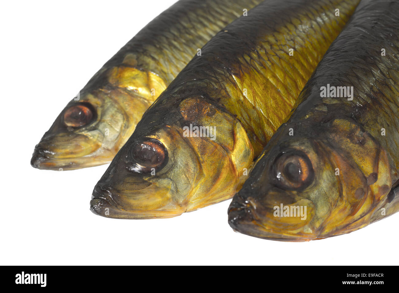 Pesce affumicato isolati su sfondo bianco Foto Stock