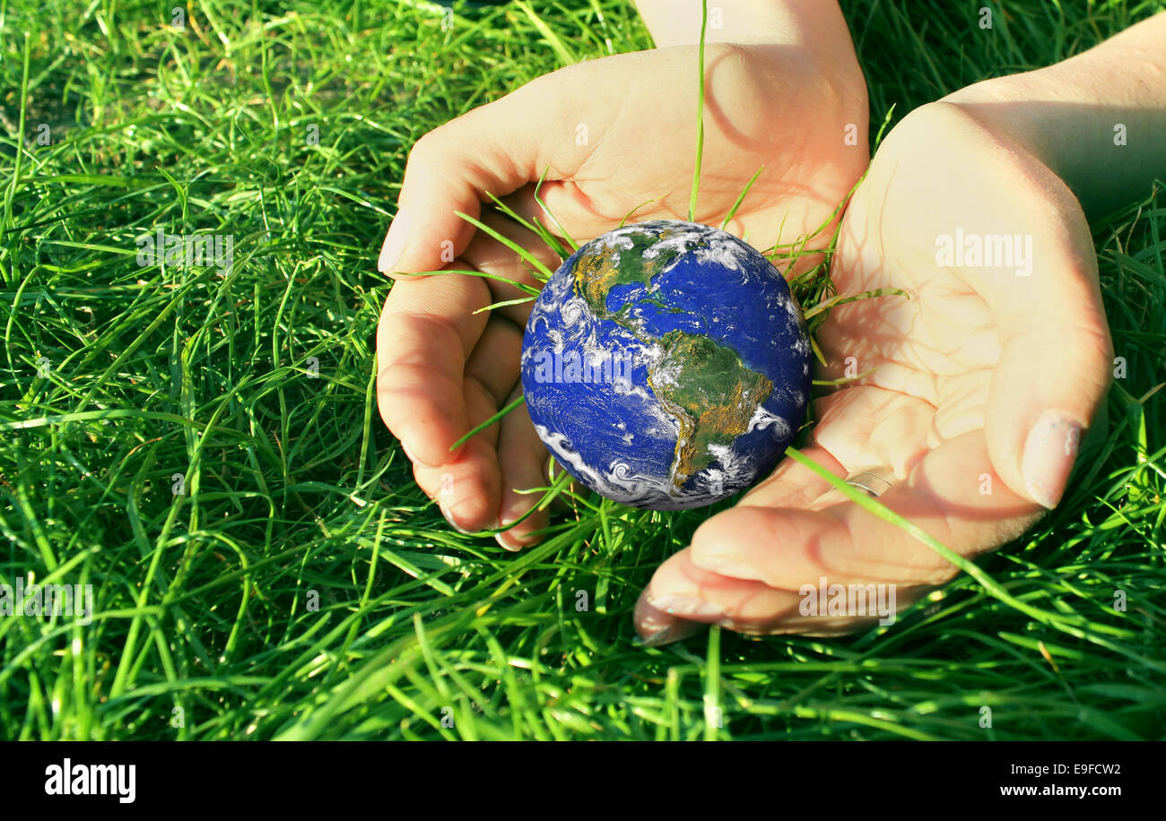 Mani con globo terrestre su erba verde Foto Stock