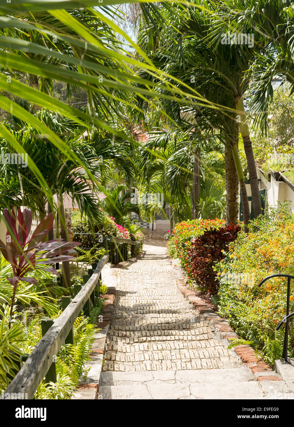 Famoso 99 passi Charlotte Amalie Foto Stock