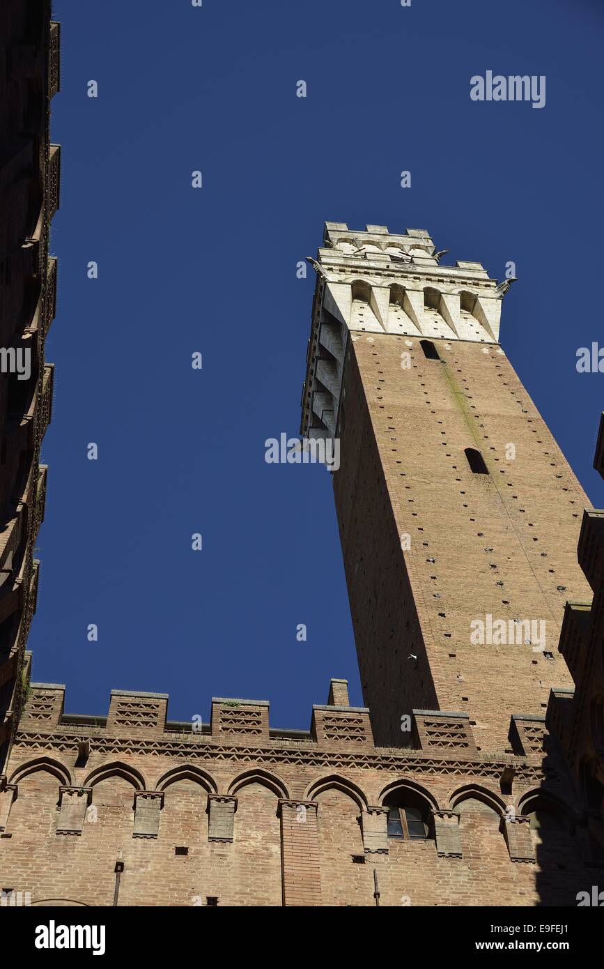 Torre del Mangia (Siena) Foto Stock