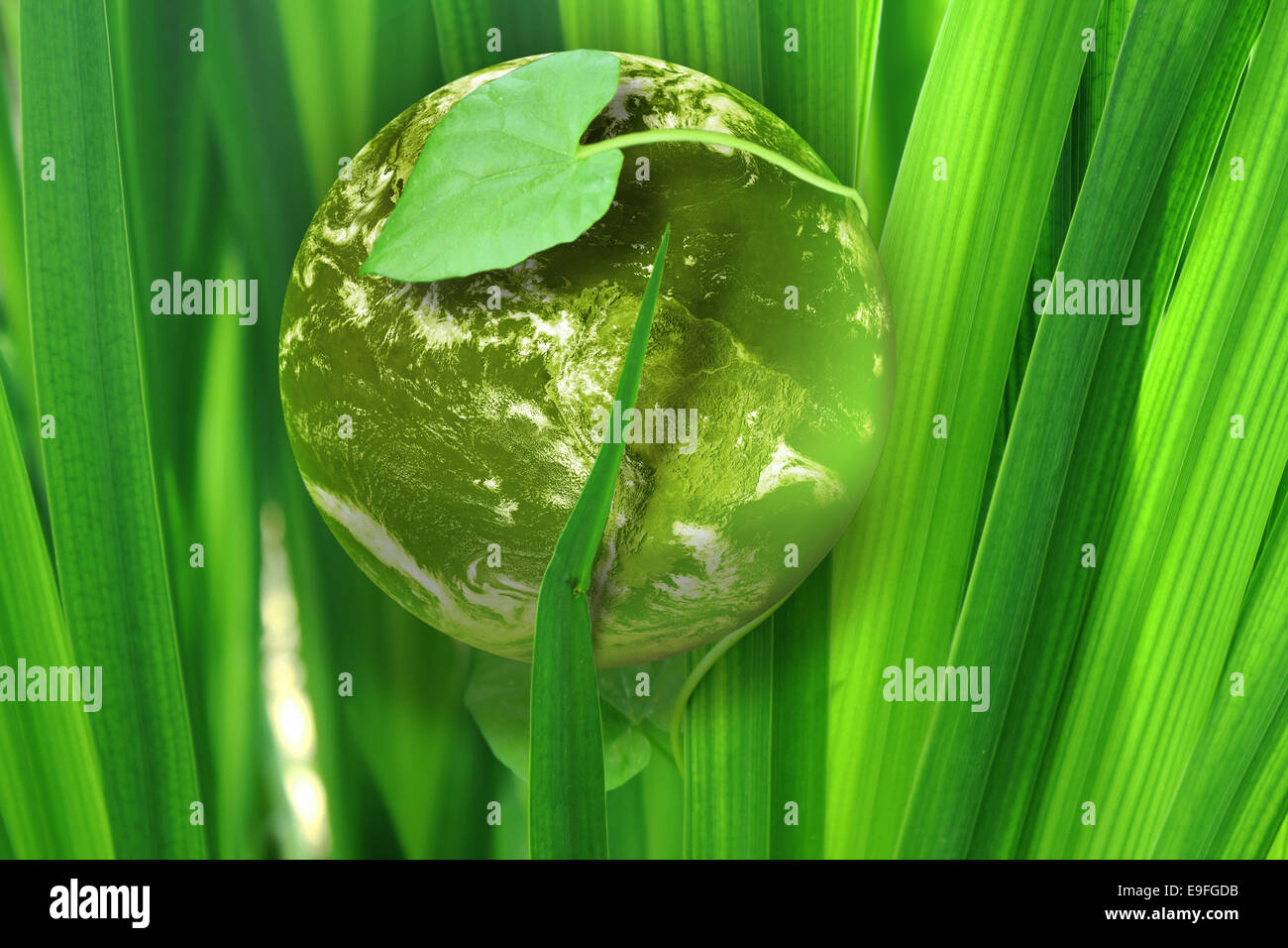 Globo terrestre recante in erba Foto Stock