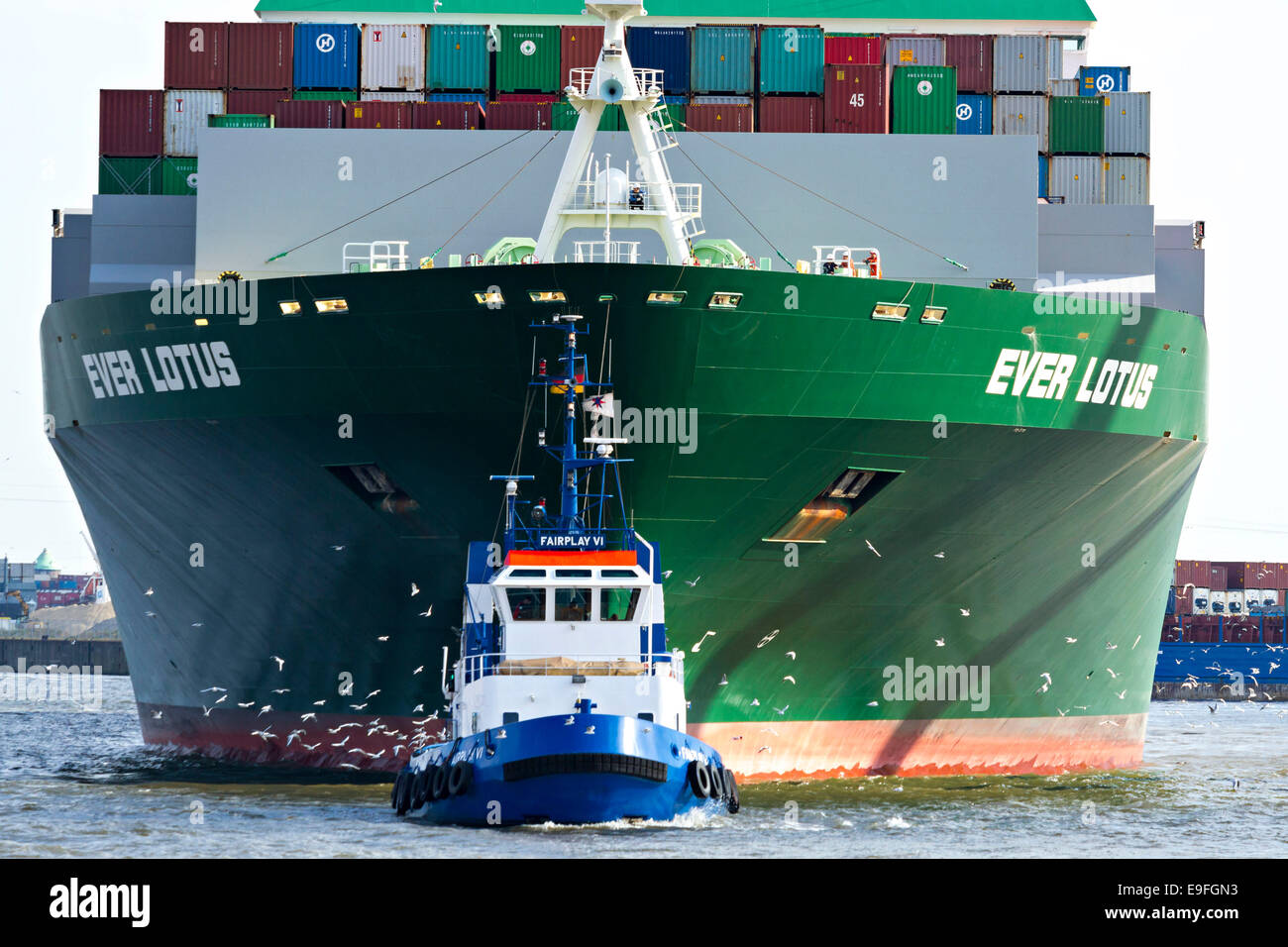 Contenitore Ship mai Lotus che viene trainato dal rimorchiatore, dal porto di Amburgo, Germania, Europa. Foto Stock