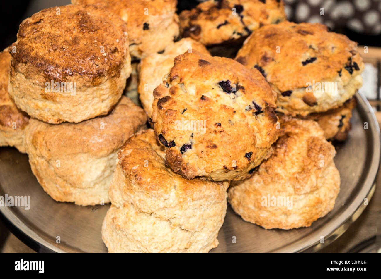 Un display del papavero/s a Plymouth Hoe REGNO UNITO Foto Stock