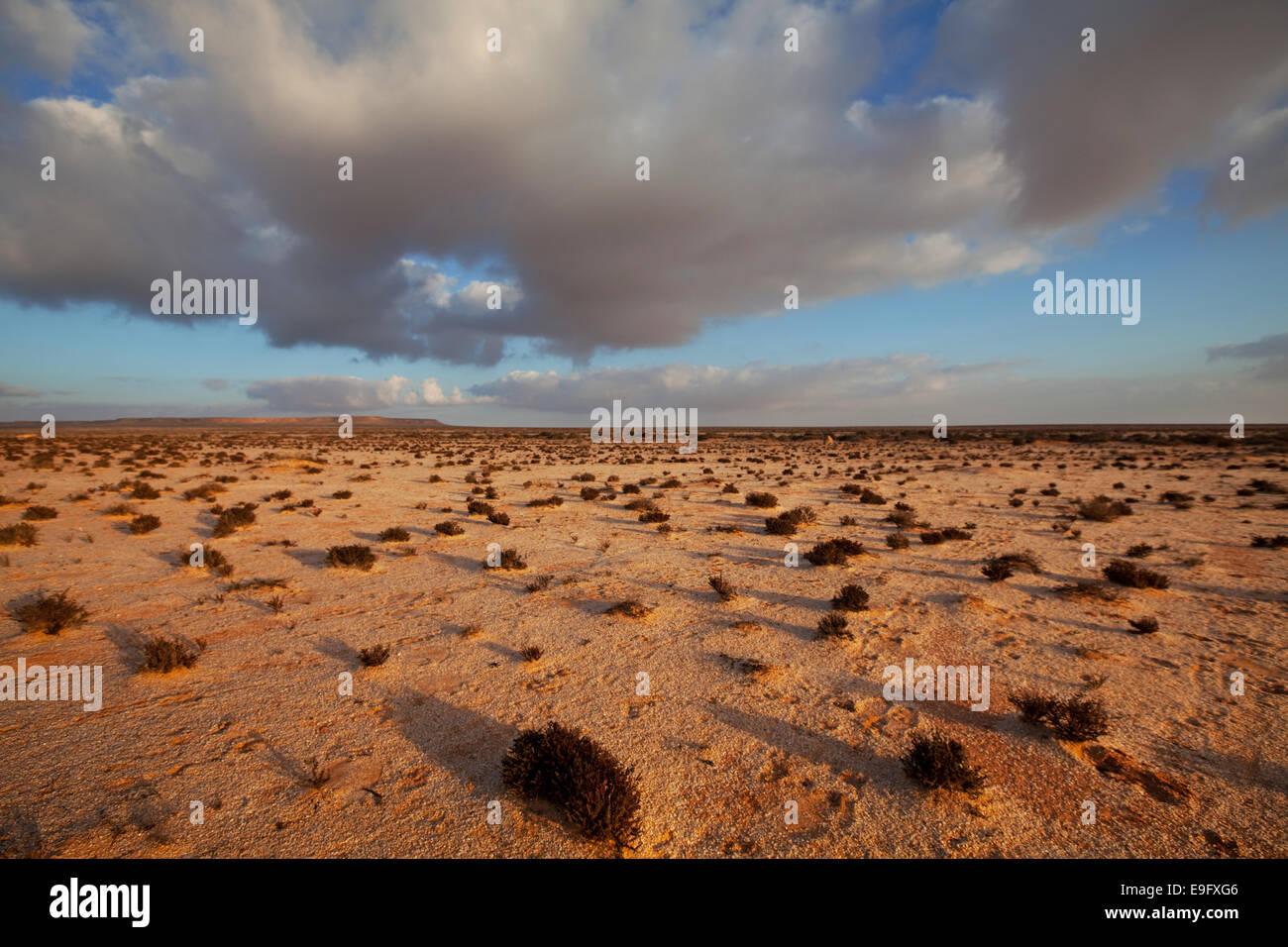Deserto del Sahara occidentale Foto Stock