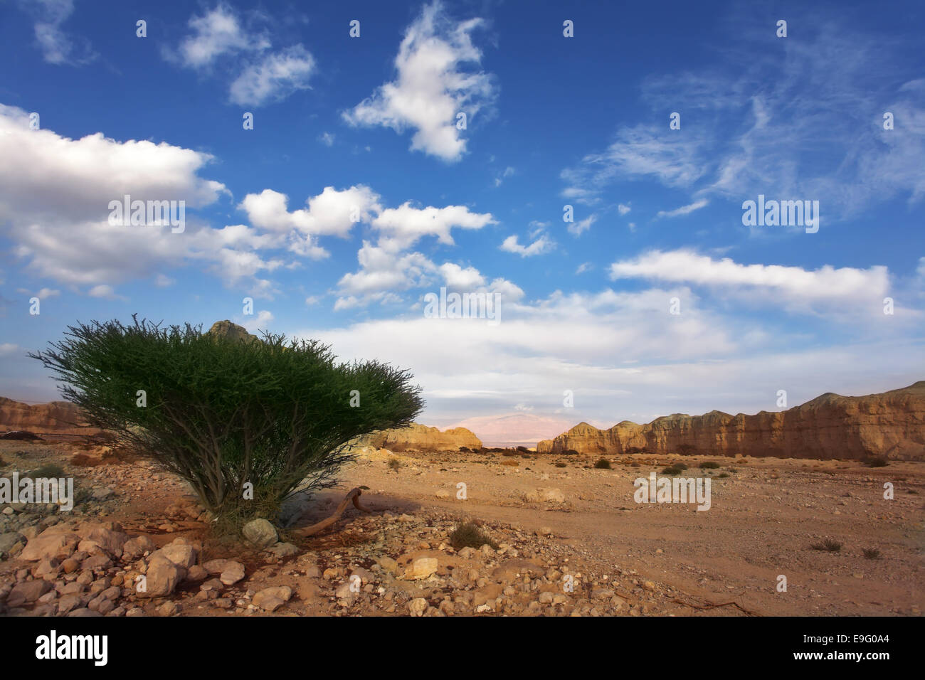 Deserto di pietra in Israele. Caldo inverno Foto Stock