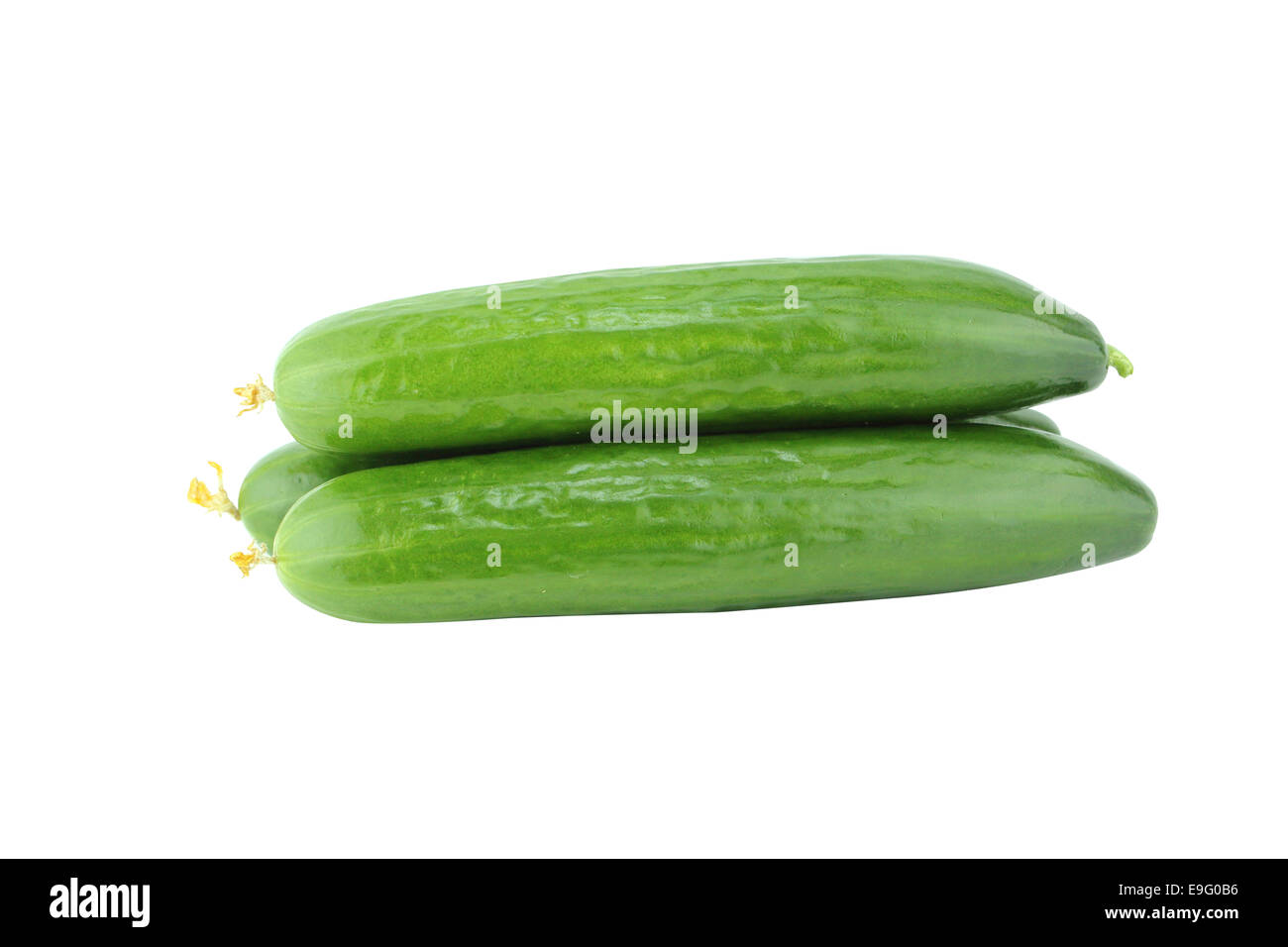 Cetriolo fresco Foto Stock