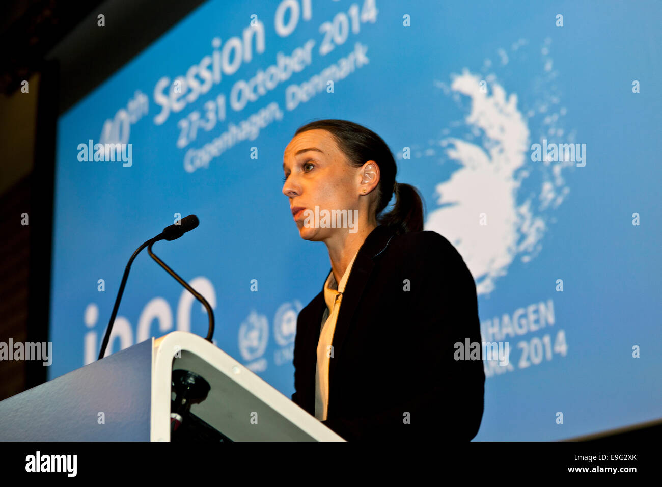 Copenhagen, Danimarca. 27 ottobre, 2014. Il Ministro danese dell'energia, Kirsten Brosbøl, indirizzo dell'ONU sul clima - pannello IPCC - i delegati durante la cerimonia di apertura di questo lunedì in Copenhagen. Credito: OJPHOTOS/Alamy Live News Foto Stock
