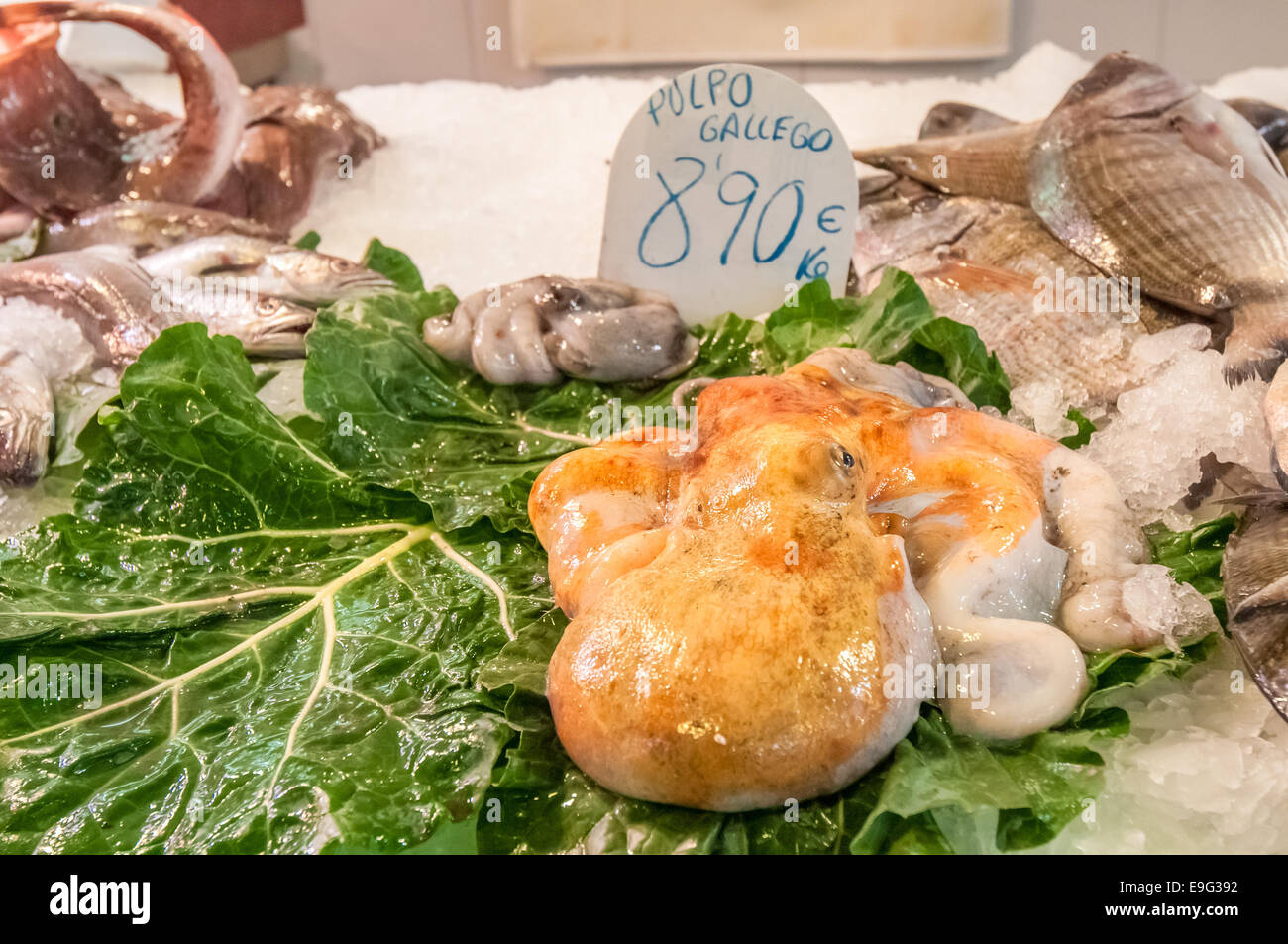 Il galiziano octopus nel mercato Foto Stock