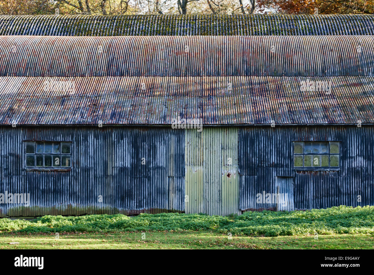 Vecchio ferro corrugato farm barn, Herefordshire, Regno Unito Foto Stock