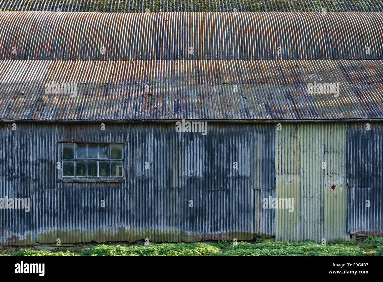 Vecchio ferro corrugato farm barn, Herefordshire, Regno Unito Foto Stock