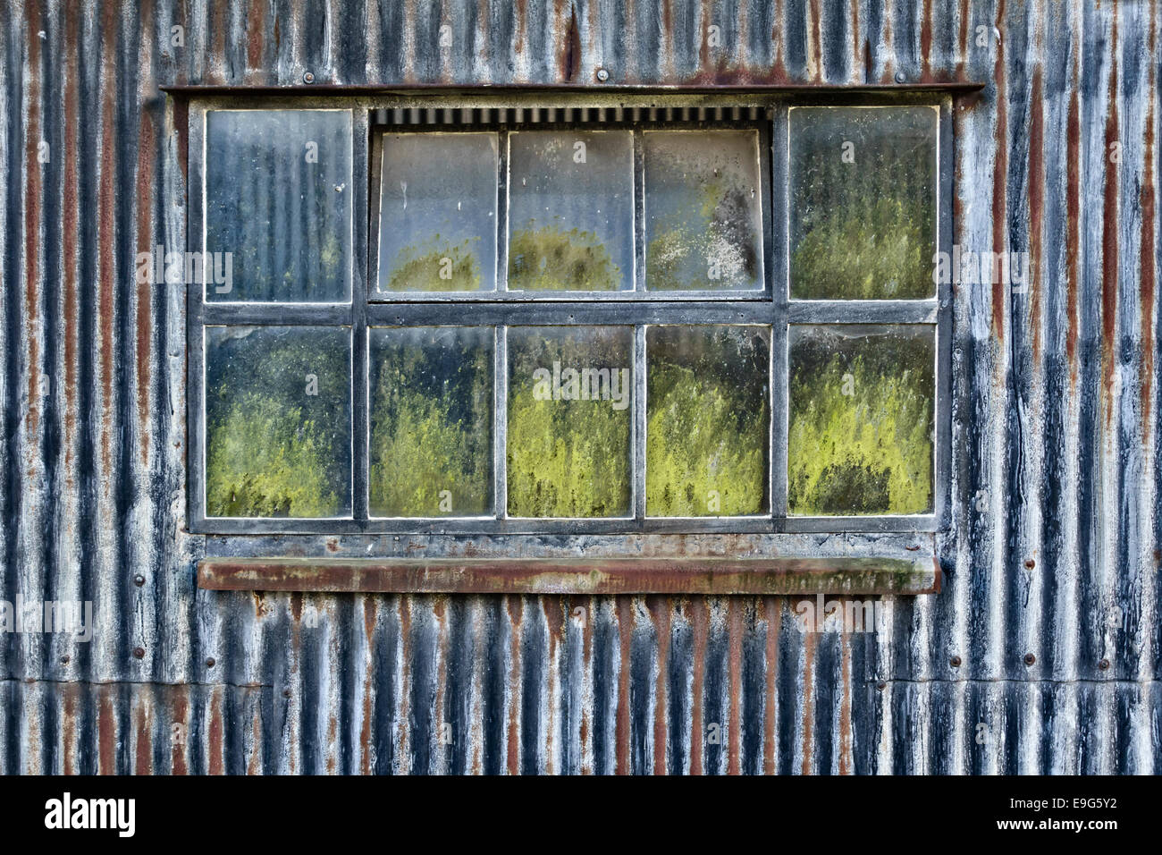 Finestra di un vecchio ferro corrugato farm barn, Herefordshire, Regno Unito Foto Stock