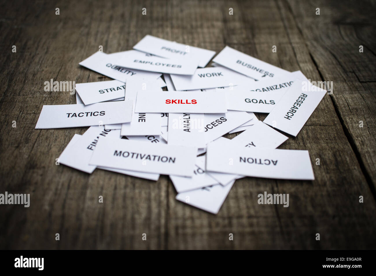 Concetto di competenze Foto Stock