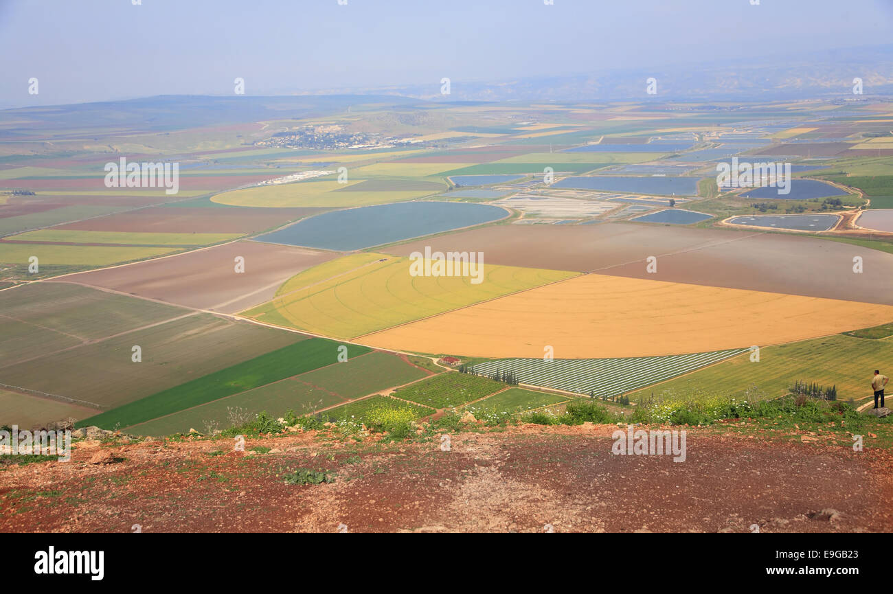 Valle pittoresca in Galilea. Foto Stock
