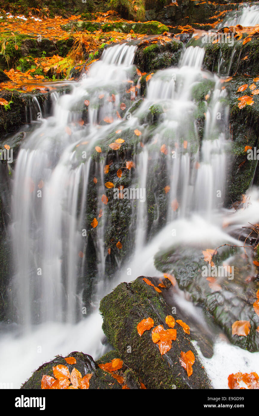 Little Falls [cascata] Foto Stock