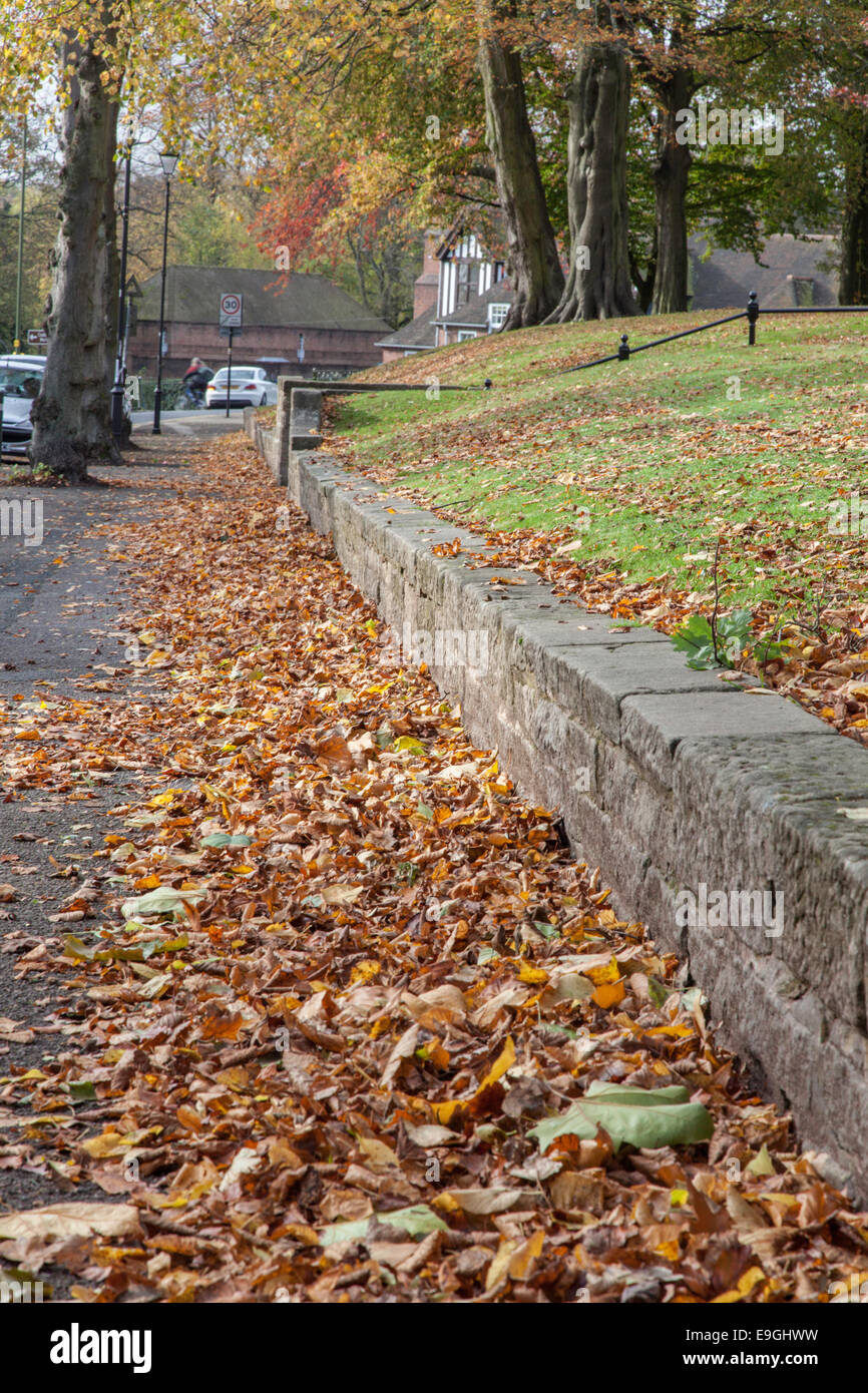 Foglie di autunno sulla pavimentazione stradale, Bournville, Birmingham, Inghilterra, Regno Unito Foto Stock