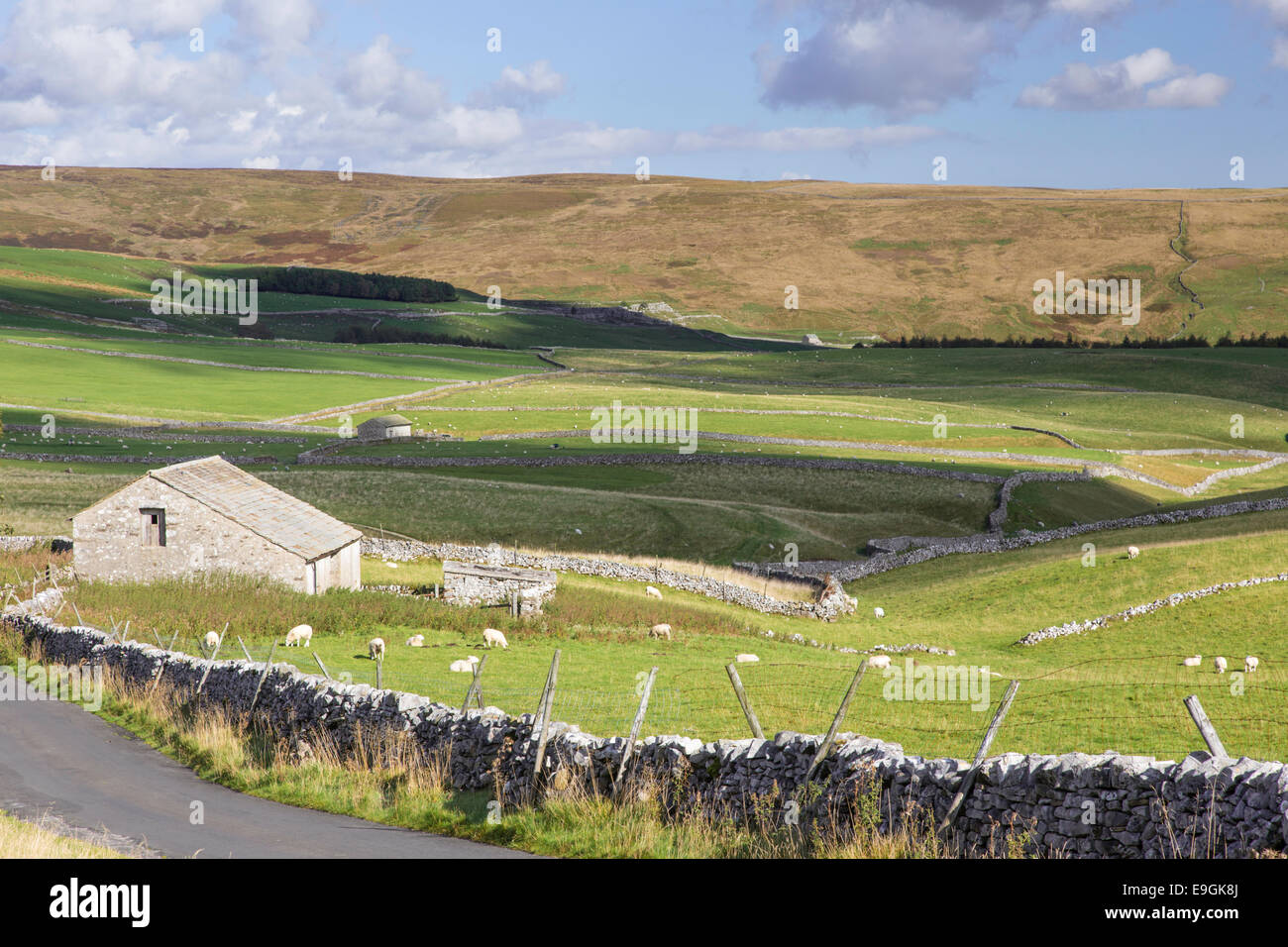 Tradizionale paesaggio Dales nel Yorkshire Dales National Park vicino Malham, North Yorkshire, Inghilterra, Regno Unito Foto Stock