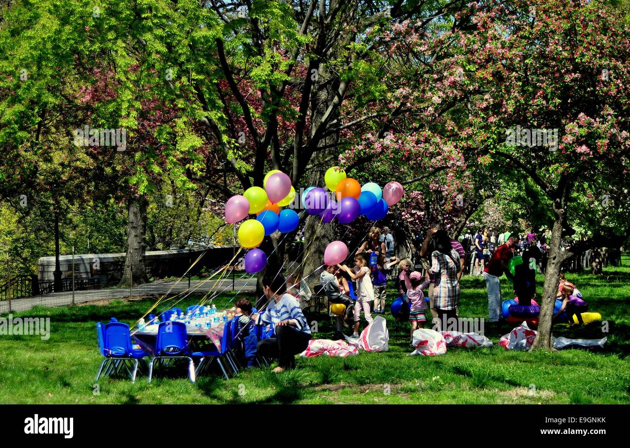 NYC: palloncini decorare una tabella impostata per la festa di compleanno di un bambino in sotto un boschetto di alberi in fiore in Riverside Park Foto Stock