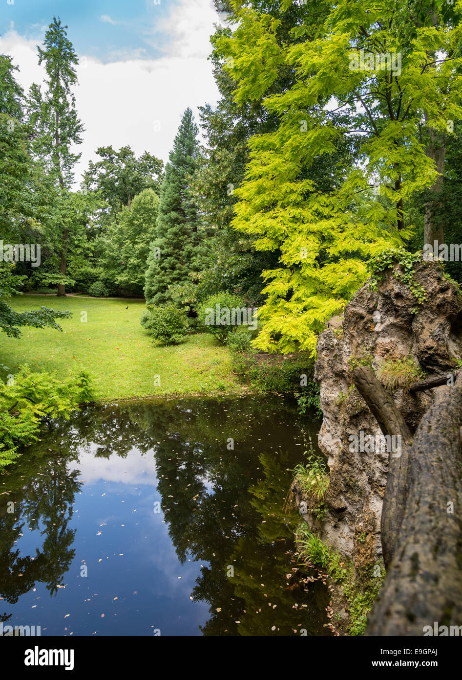 La riflessione in un stagno di Albert Kahn Giardini Parigi Francia Foto Stock