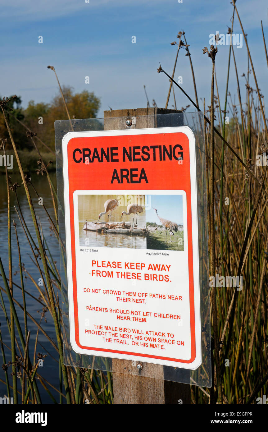 Gru area di nidificazione di firmare al George C. Reifel uccello migratore Santuario, Delta, BC, Canada Foto Stock