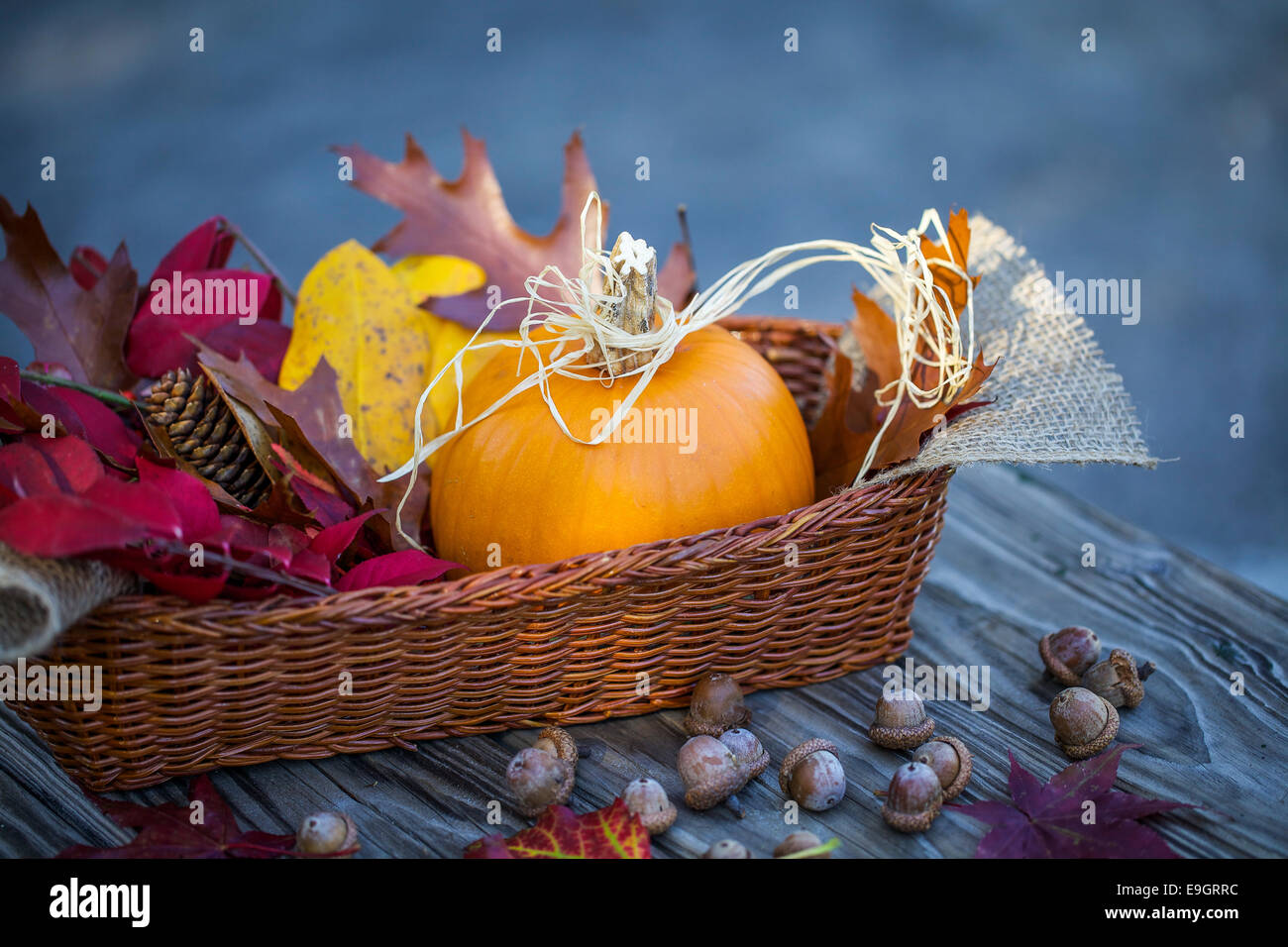 Orange zucche e decorazione di autunno Foto Stock