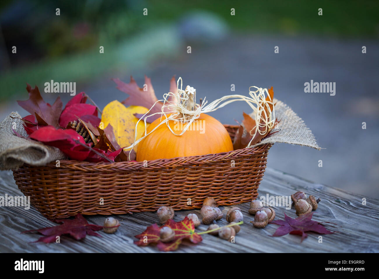 Orange zucche e decorazione di autunno Foto Stock