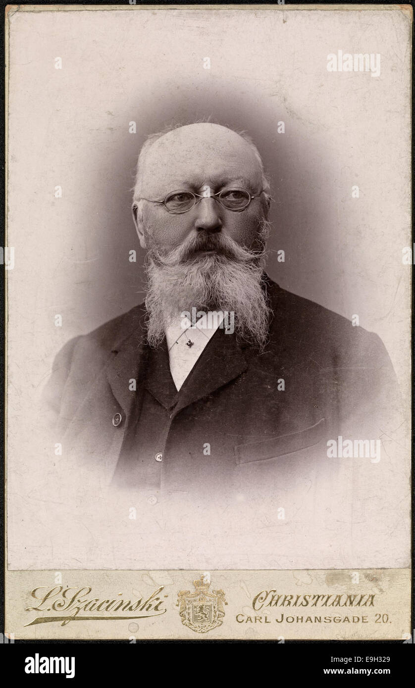 Portrett av Christian Meyer Ross (1843-1904) Foto Stock